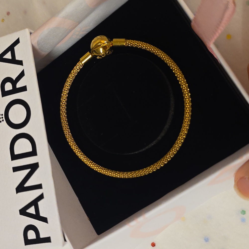 Pandora Shine Mesh Bracelet - Picture 5 of 6